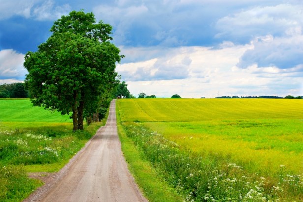 Årets sommarbild 2012, Fotosektionen Folksamkamraterna