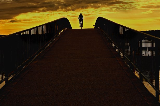 Årets Bild 2014, Fotosektionen Folksamkamraterna