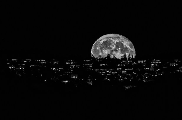 dsc_3385-redigera-2-redigera-3-redigera-redigera-redigera