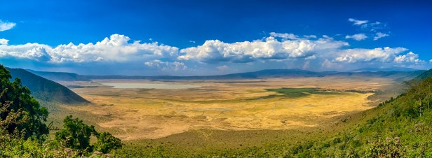 Ngorongoro