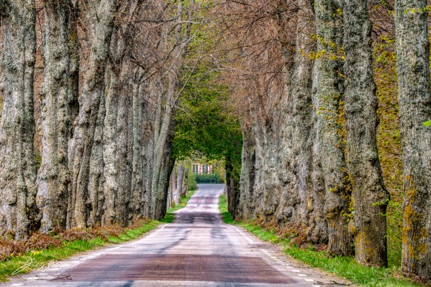 DSC_9230-HDR-Redigera